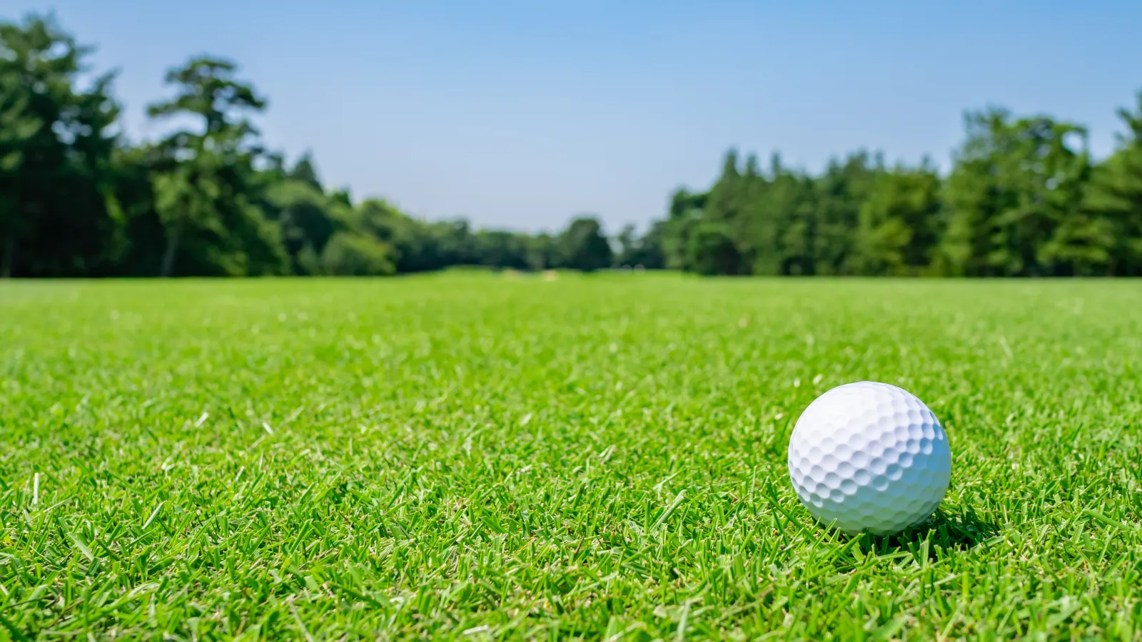 a golf ball on a green field