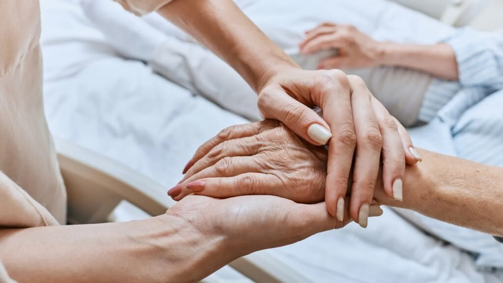 Close-up of a younger person holding an elderly person's hand in a comforting gesture by a hospital bed.