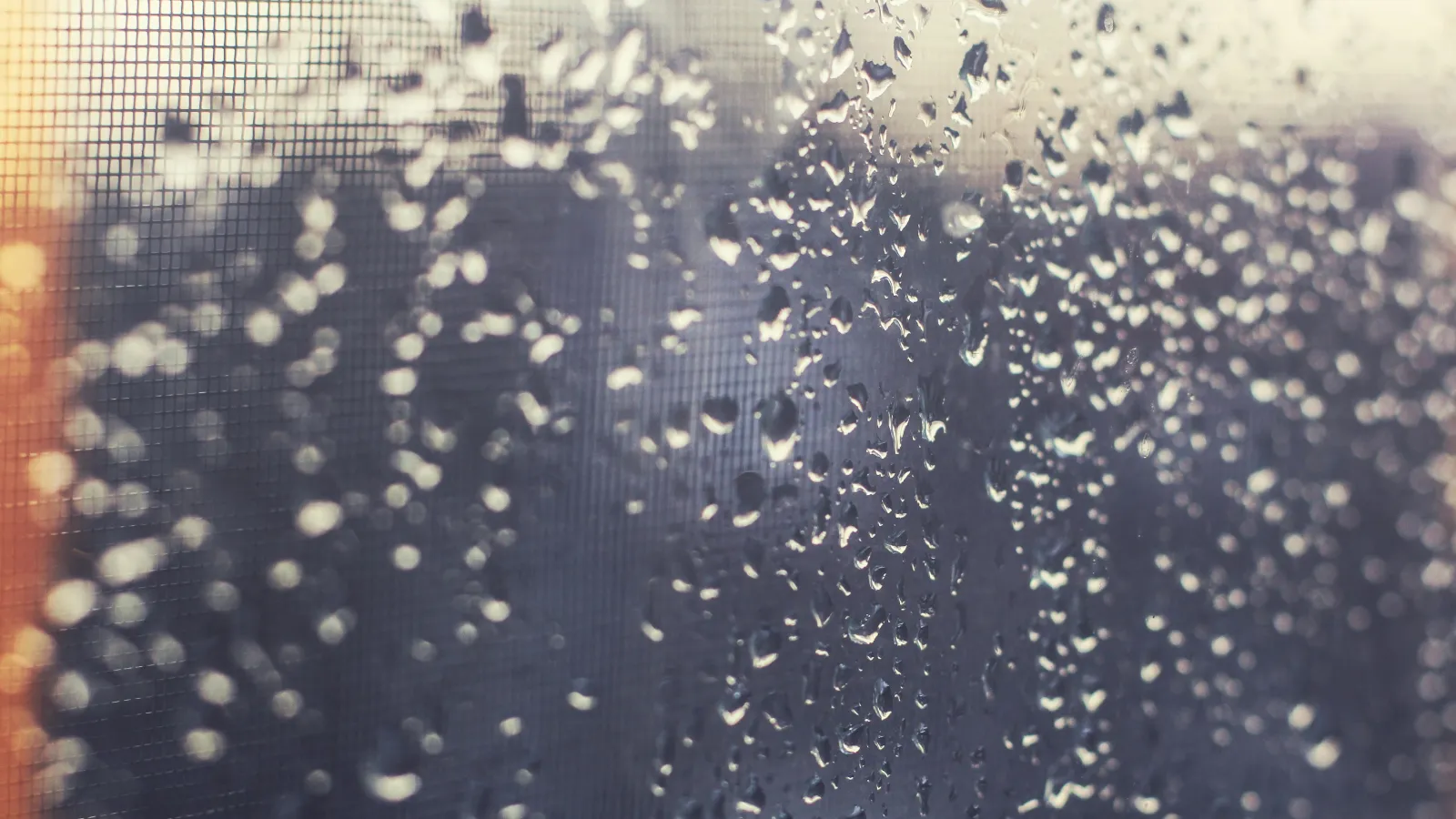 Close-up of raindrops on a window screen with blurred cityscape in soft lighting background.