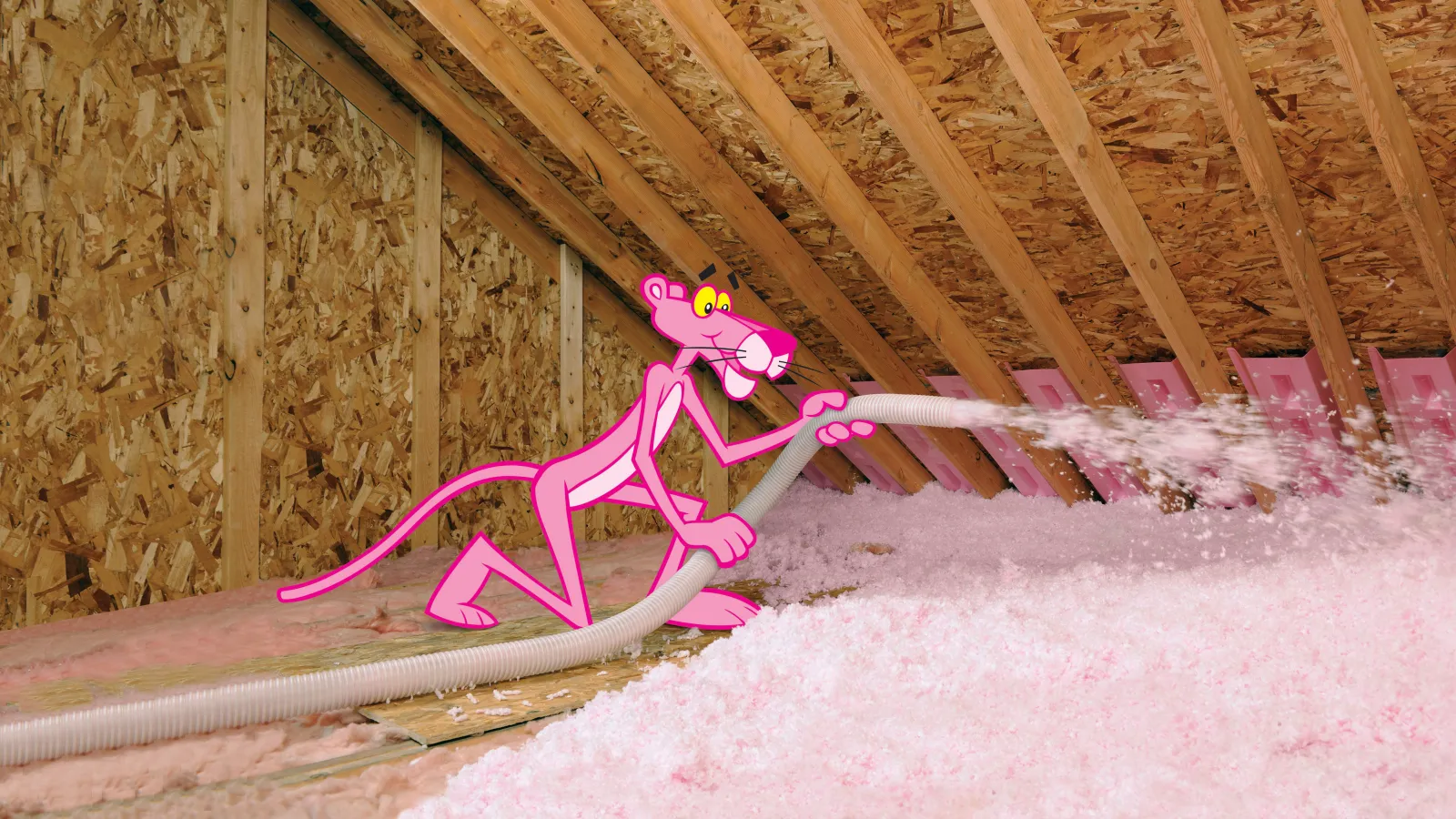 a pink toy on a pink surface