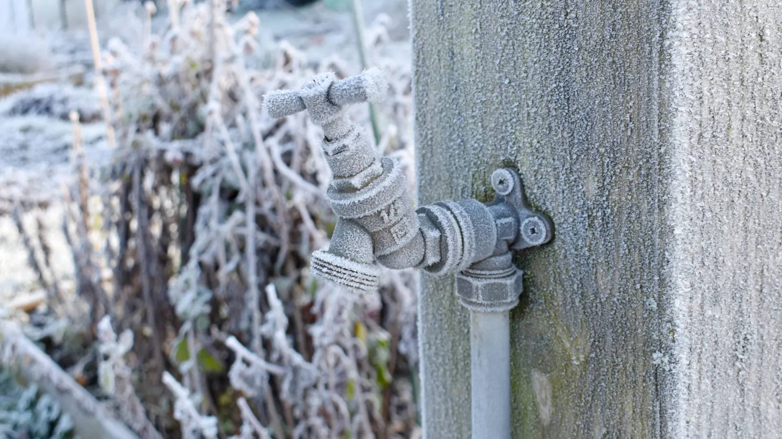 Protect Your Plumbing from Freezing Temperatures