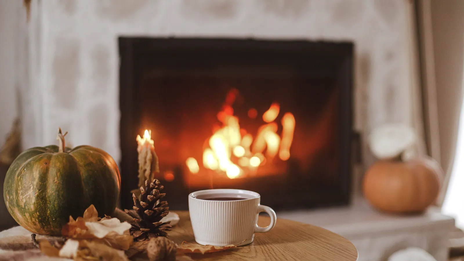 Thanksgiving Prep: Tips for a Cozy, Warm, and Safe Home