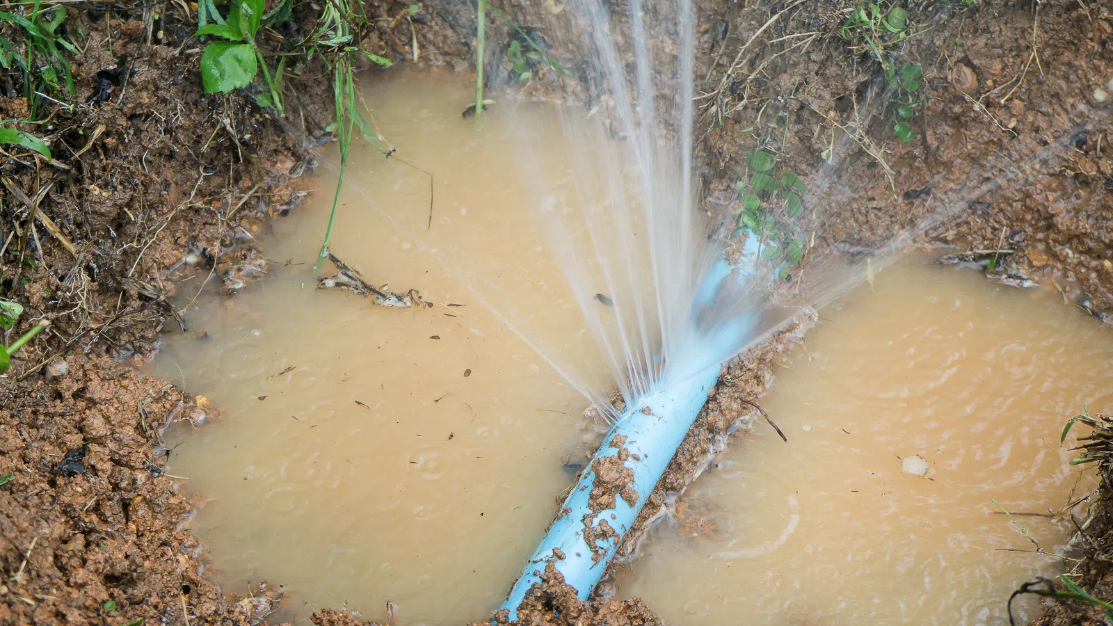 Blue PVC pipe leaking water into muddy soil with surrounding grass and plants visible.