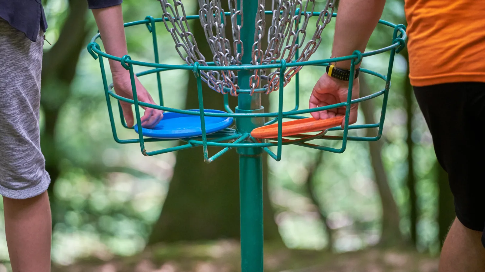 a person holds a frisbee