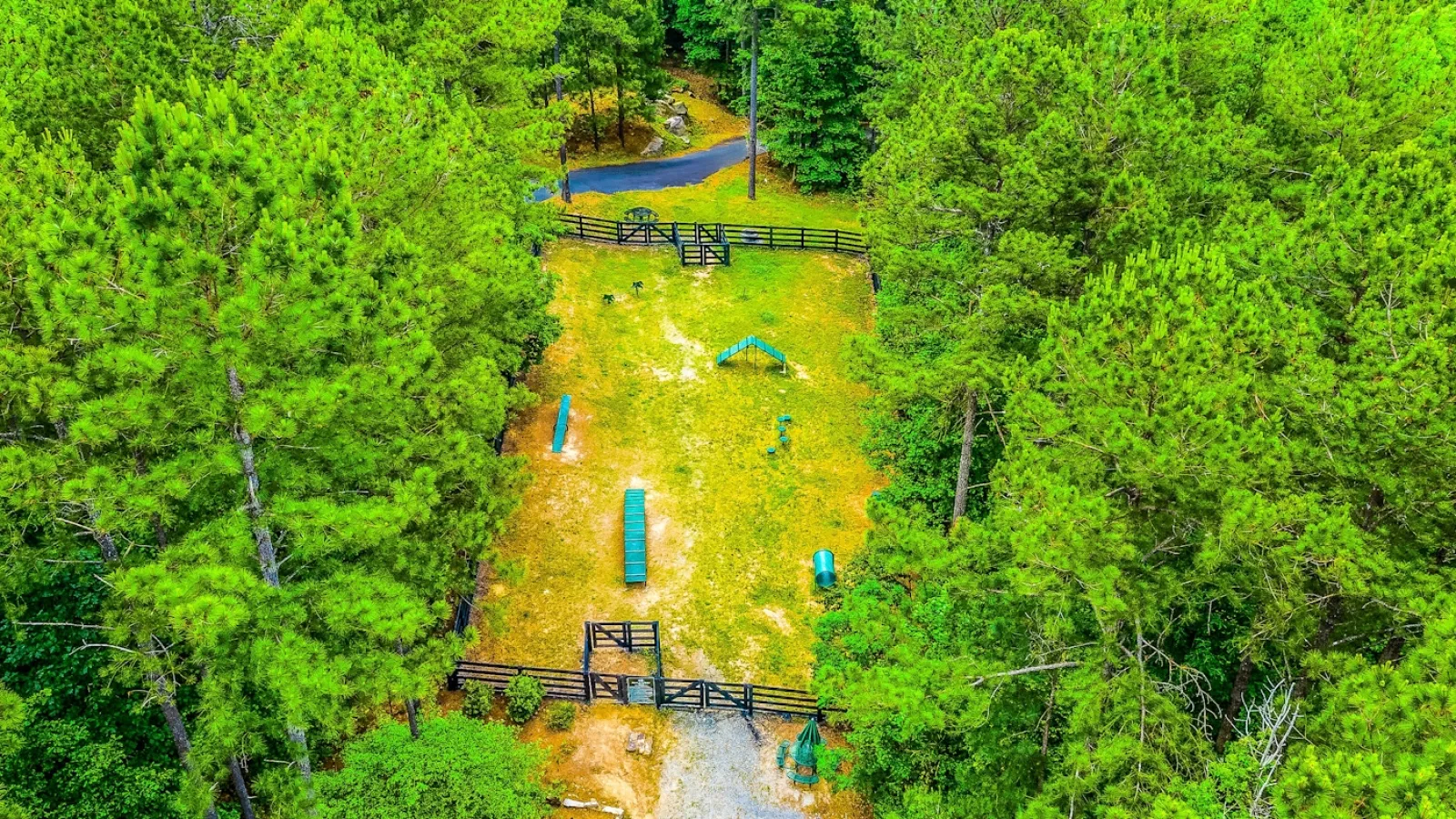 a building surrounded by trees