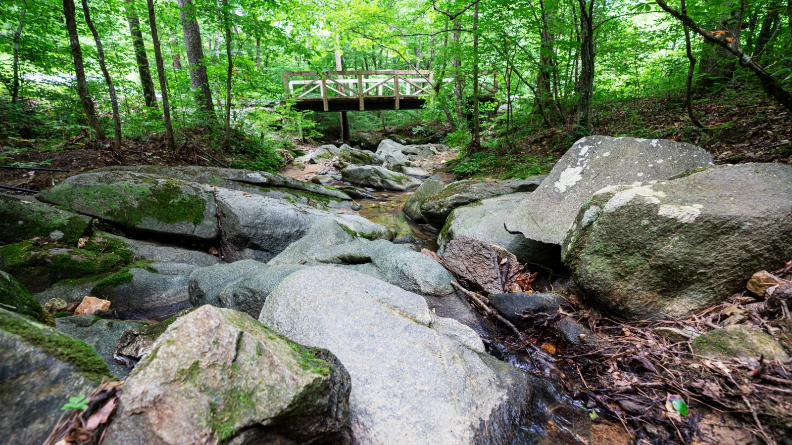 a rocky area with trees in the background