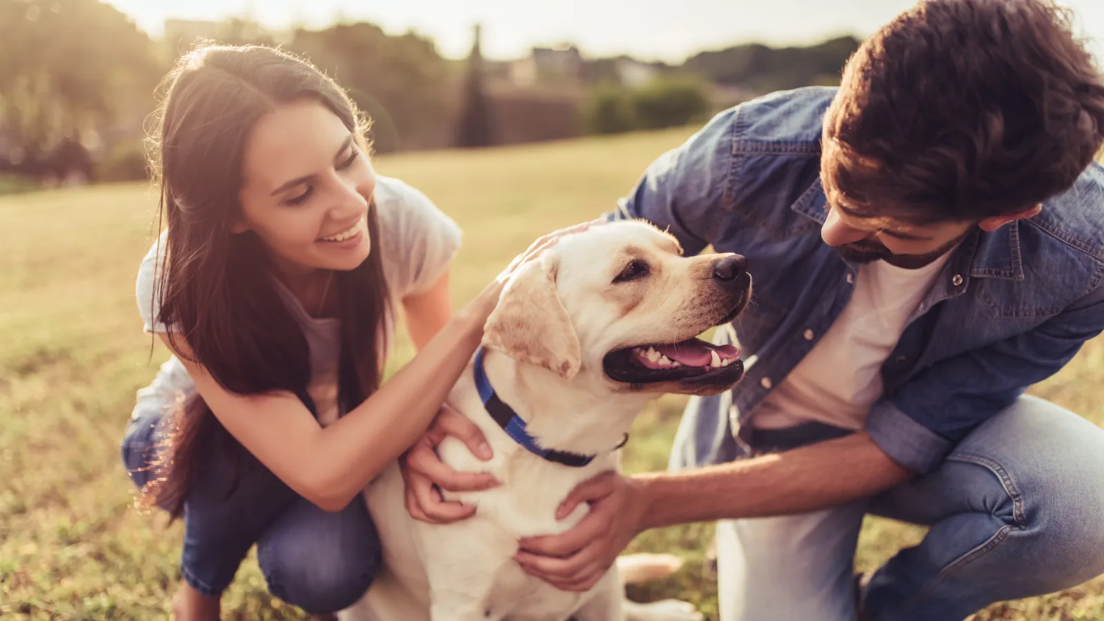 a man and a woman petting a dog