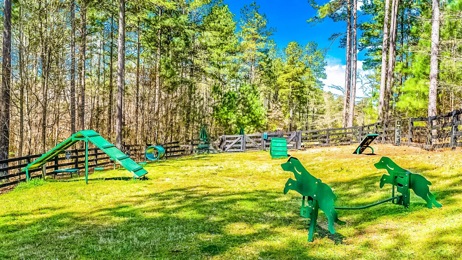 a playground with trees and grass