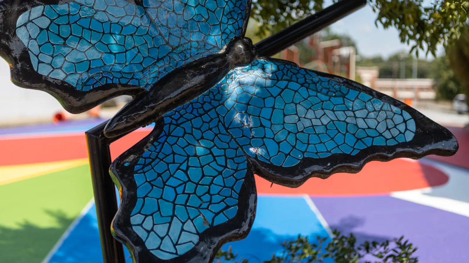 a butterfly on a glass window