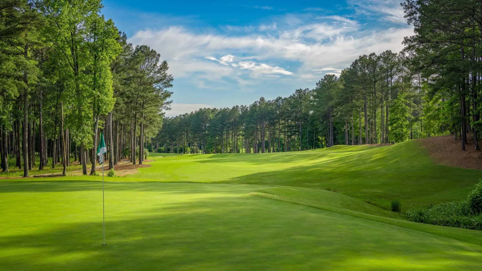 a golf course with trees on the side