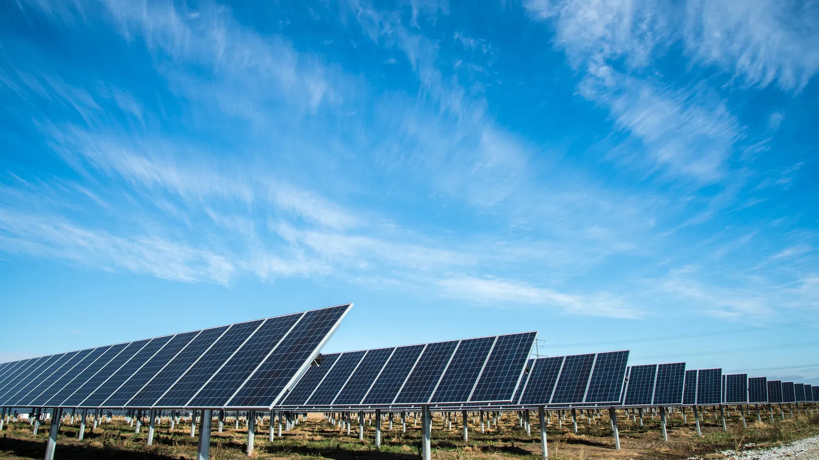 a group of solar panels