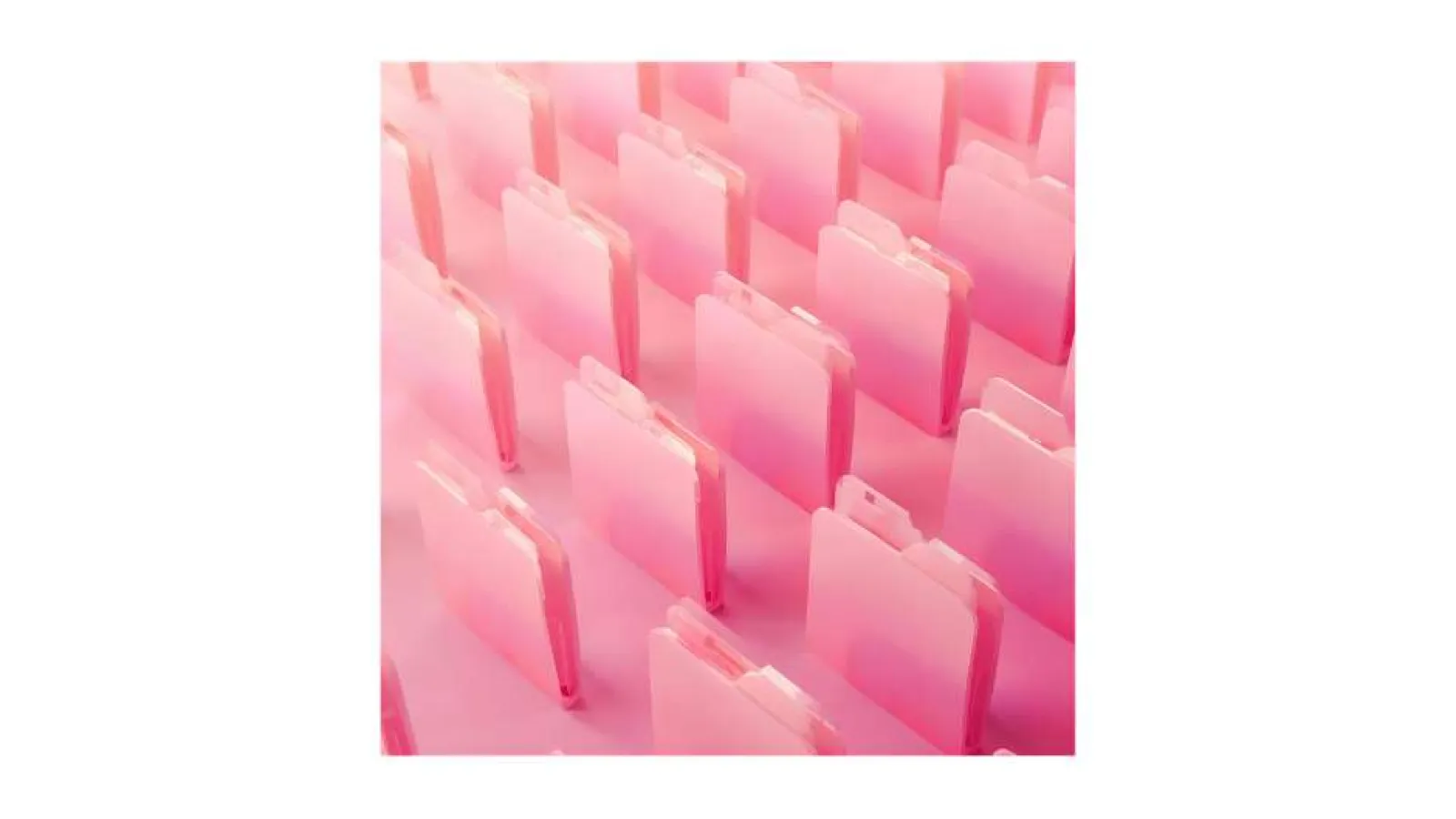 Rows of pink translucent file folders neatly arranged with matching pink background in soft light.