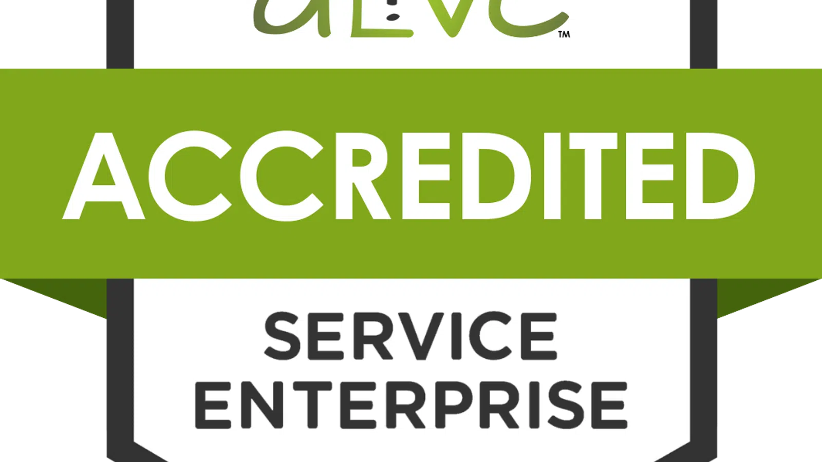 Alive Service Enterprise accreditation badge for 2026 to 2029 with green and white design.