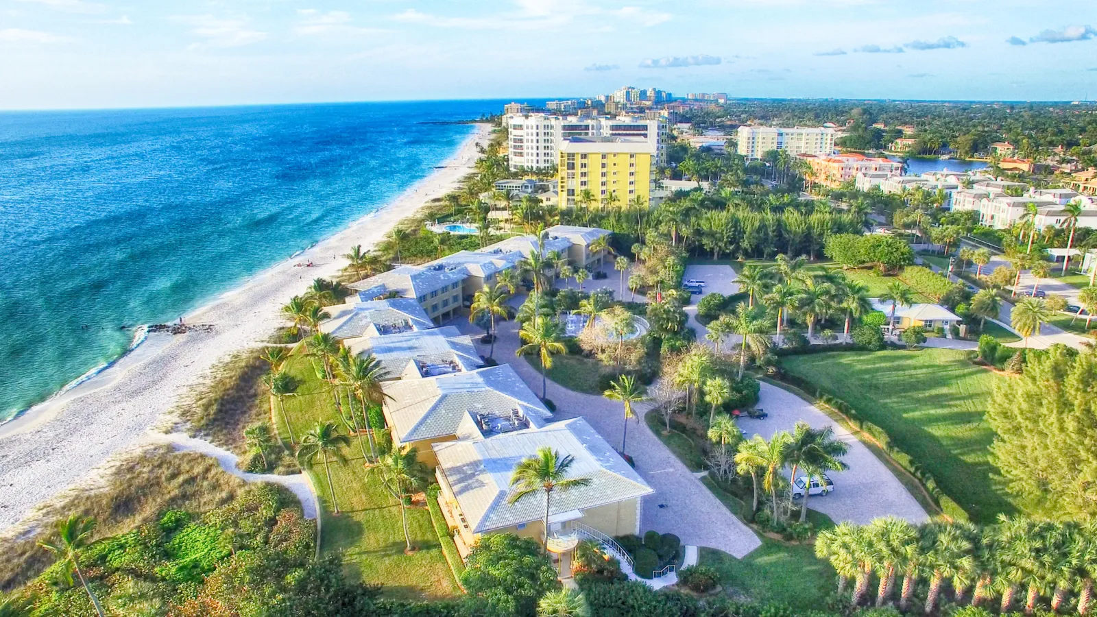 Aerial view of beachfront buildings, palm trees, and ocean along a sunny coastline in a coastal city.