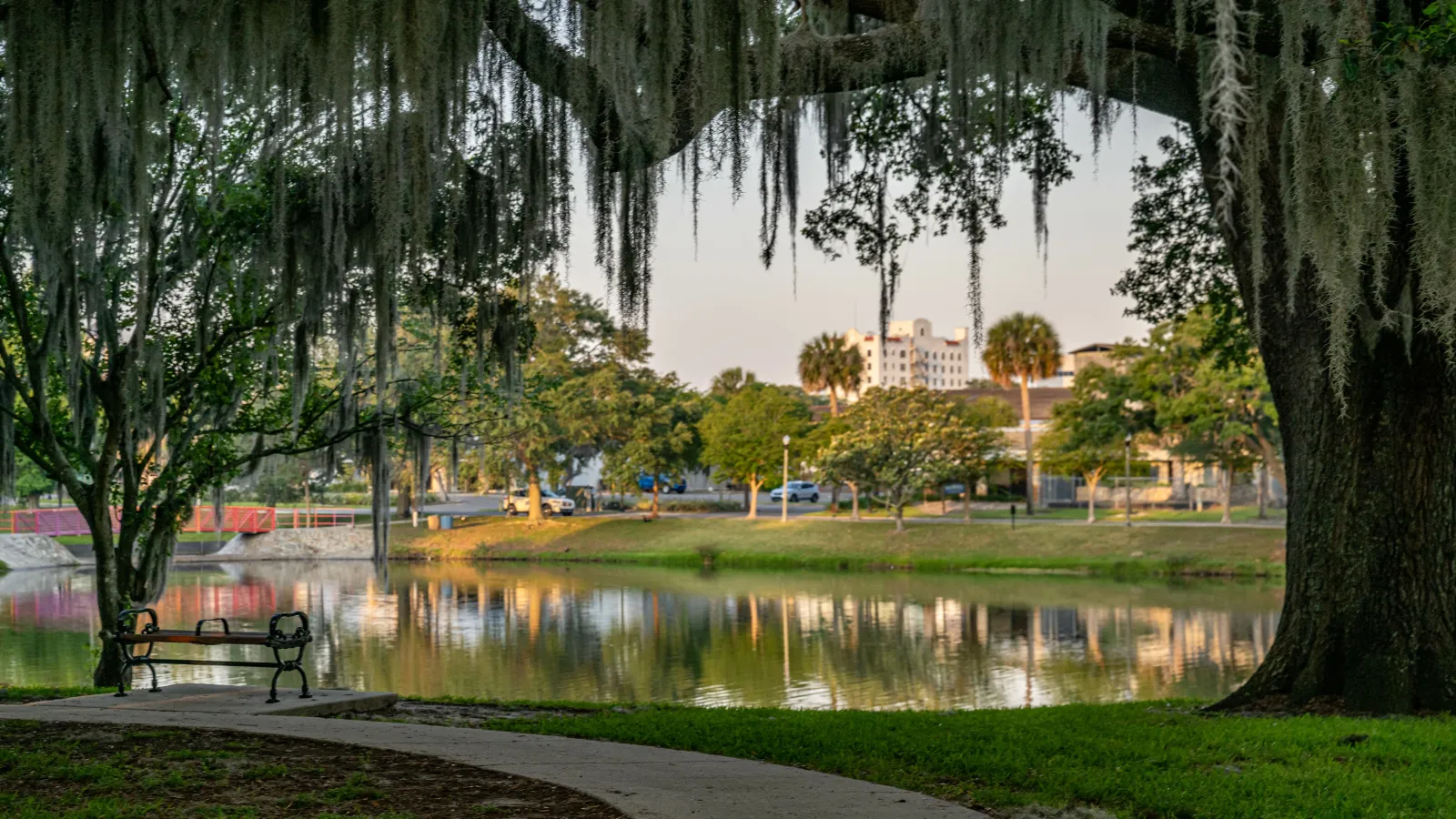 Park scene with curved pathway, bench under Spanish moss-covered tree, reflecting pond, and urban buildings in distance
