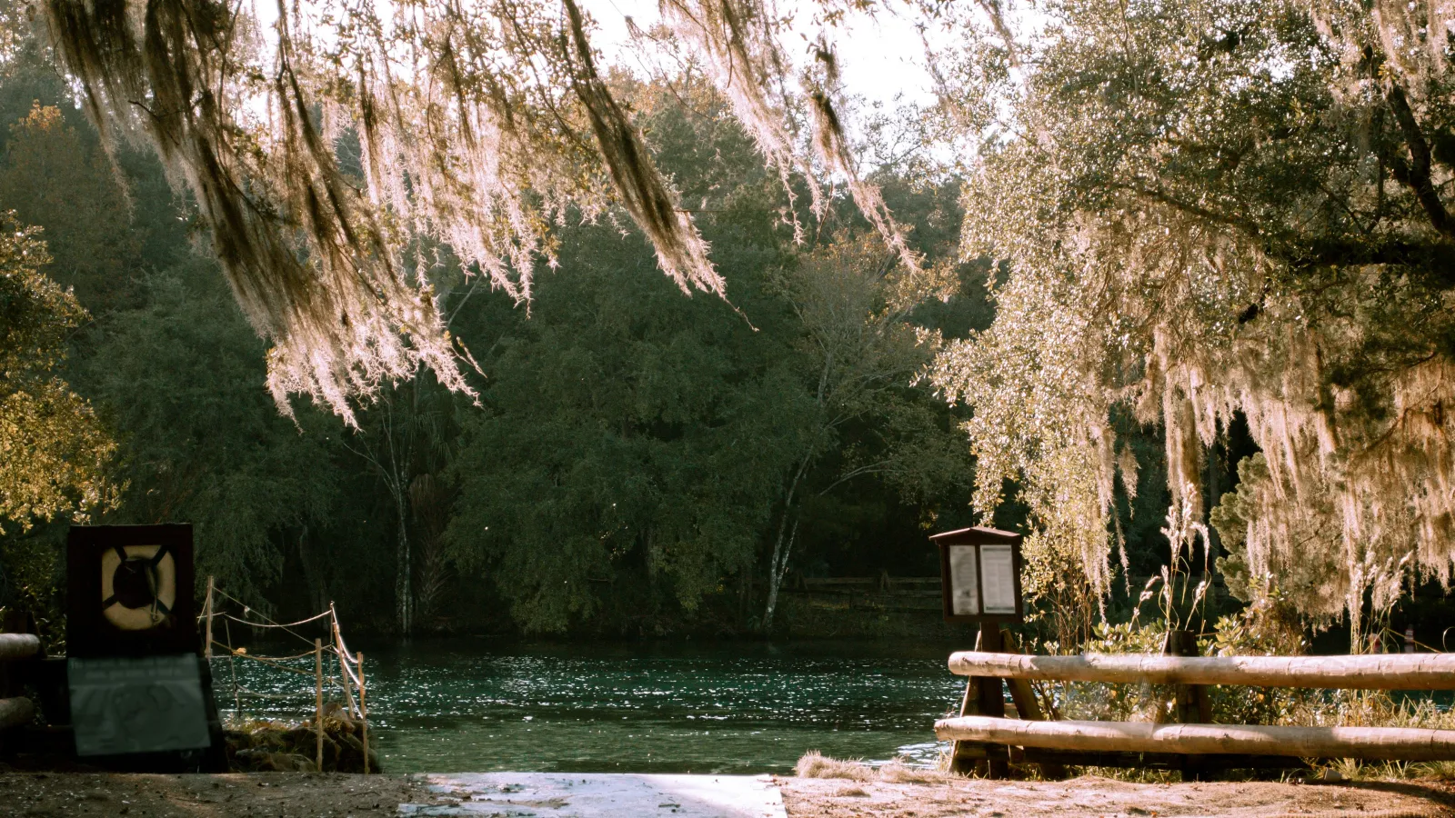 Sunlit riverside scene with hanging moss, wooden railing, and dense green forest across calm water.
