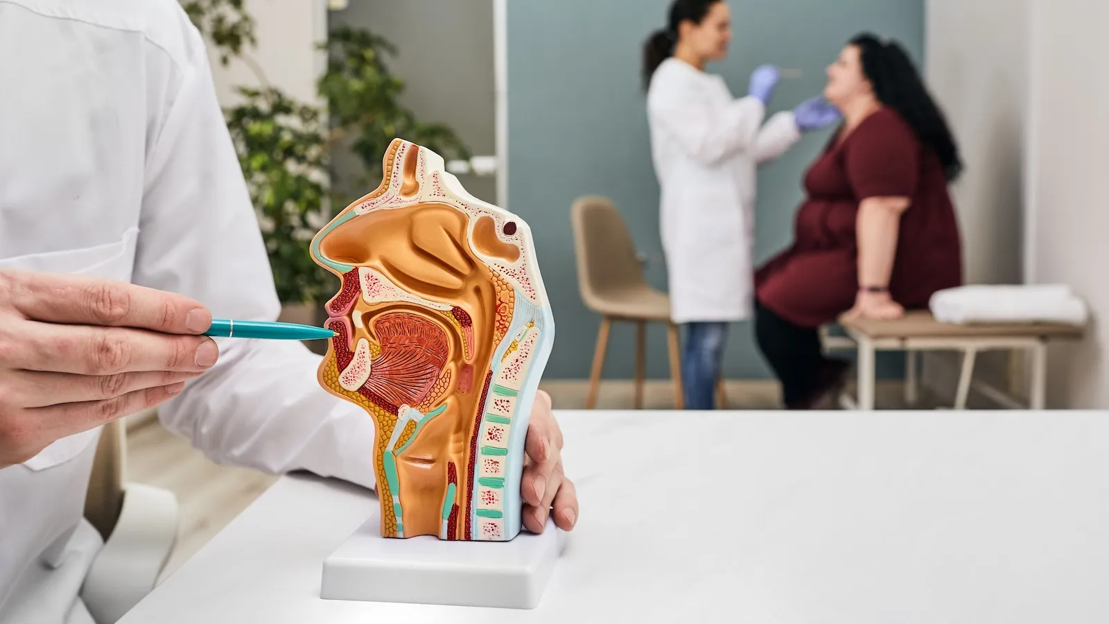 Doctor explaining anatomy of throat with model while examining patient in medical office.