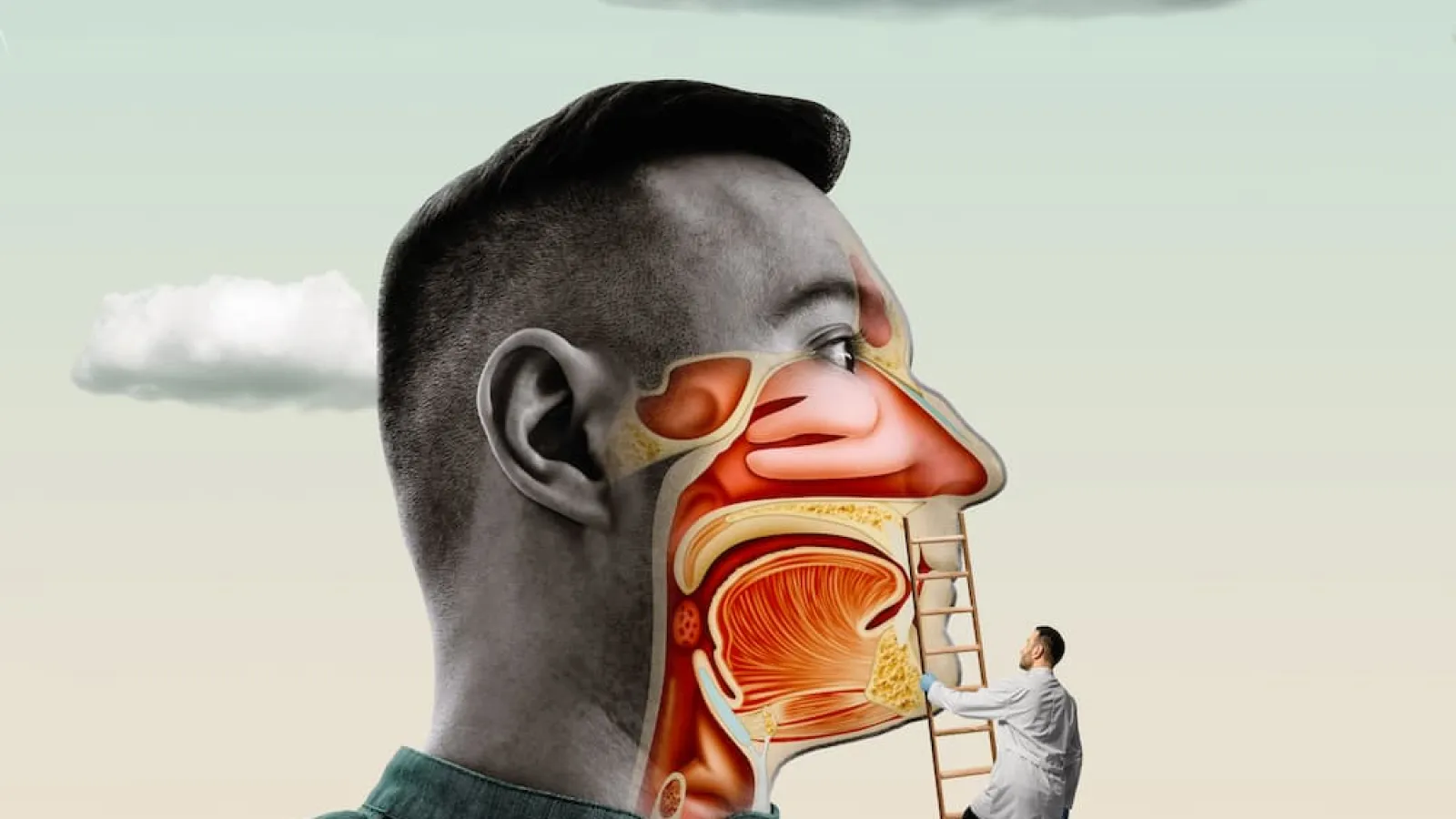 Doctor climbs ladder to examine detailed cross section of human head and throat anatomy against sky background.