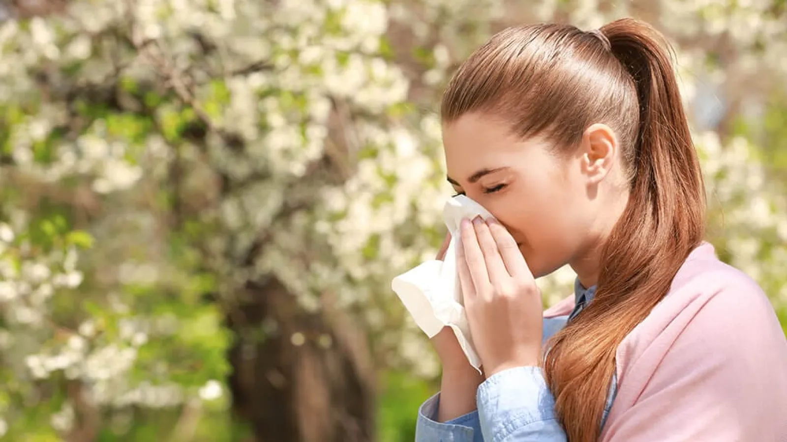 Prevent Spring Allergies Now with HVAC Solutions