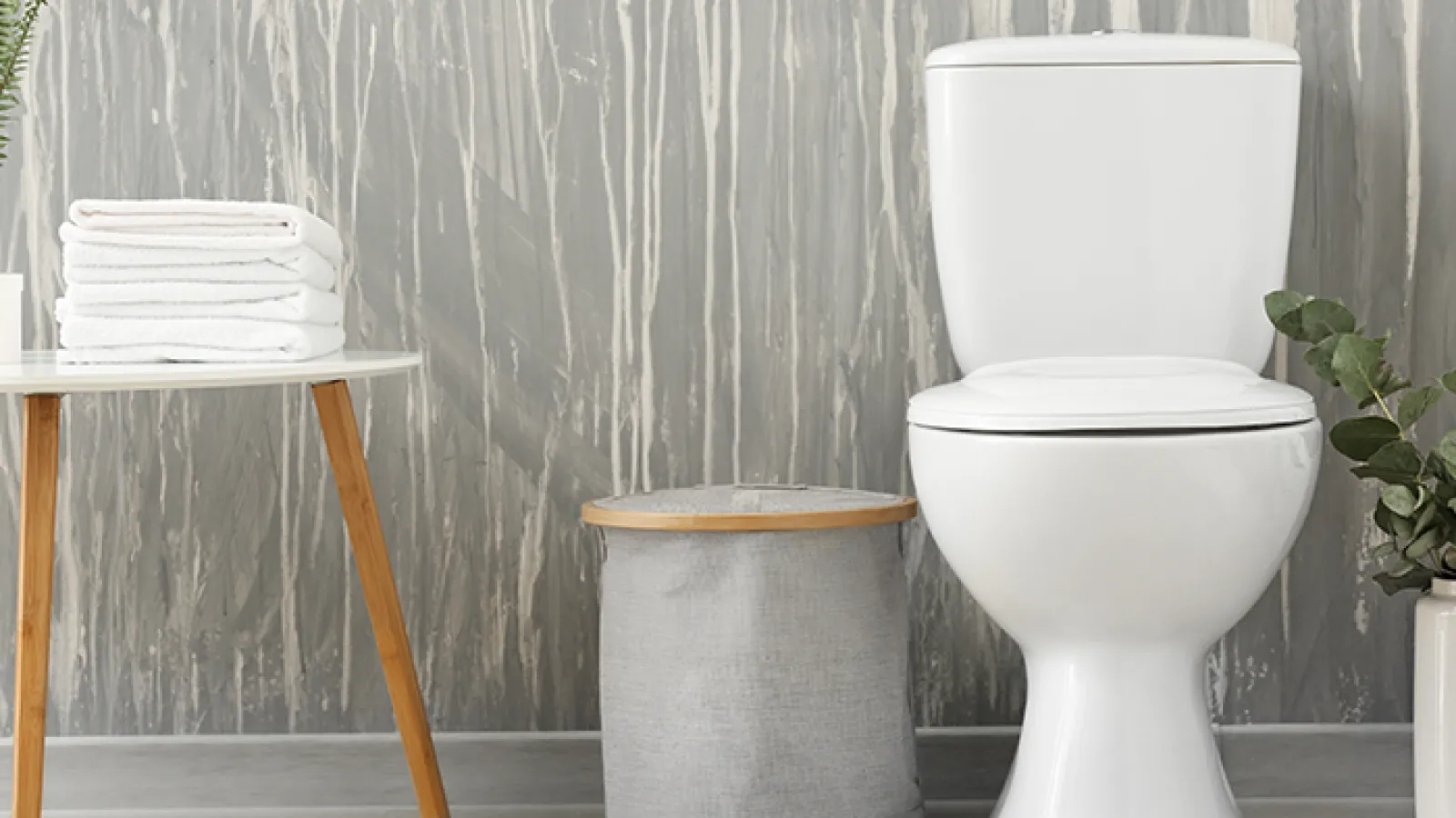 How to Choose a Toilet for Your Home