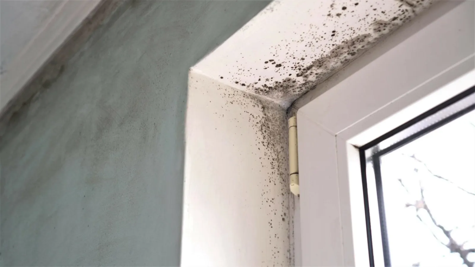 How HVAC Systems Lower Your Home’s Humidity and Mold Risk