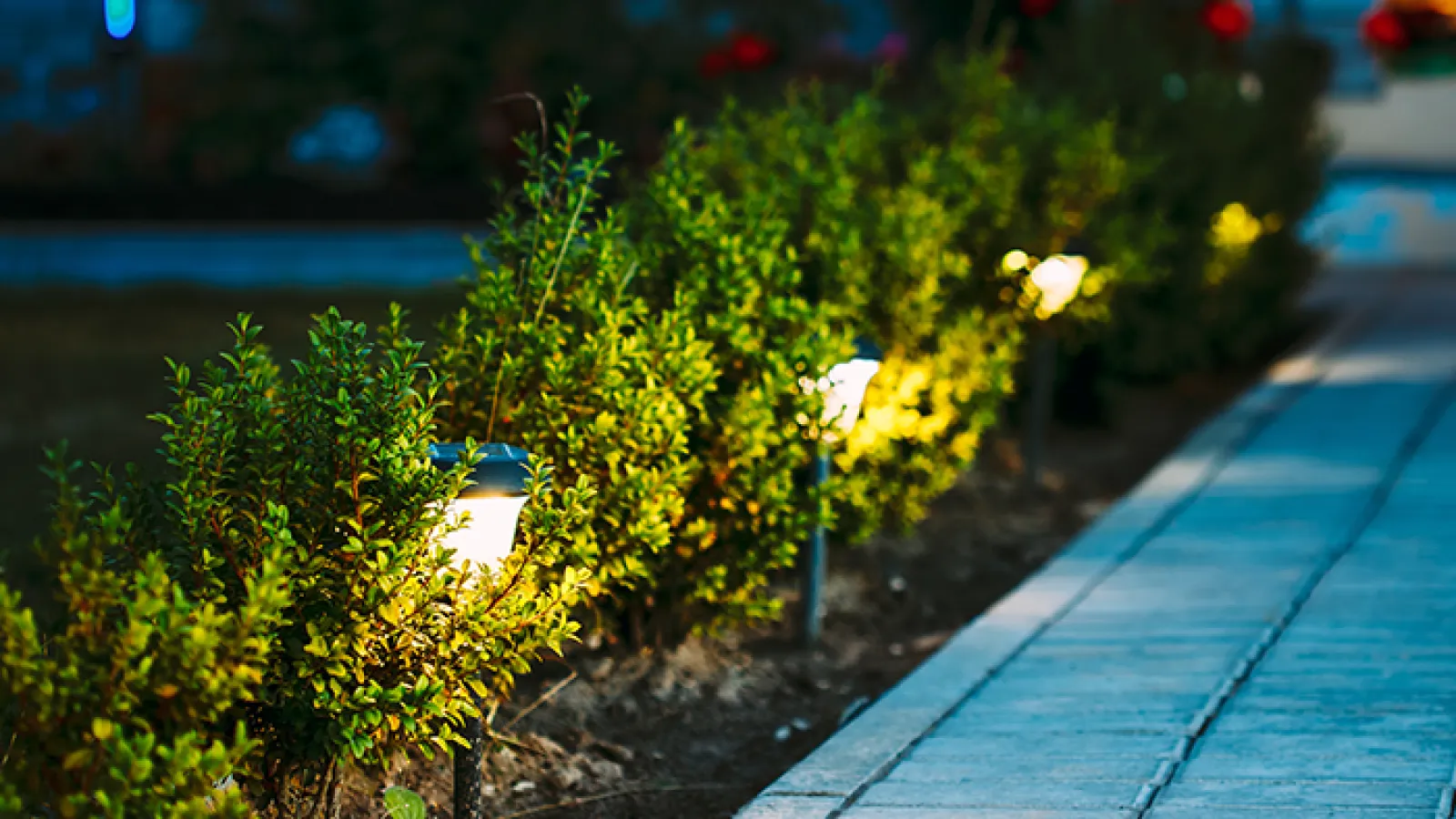 What Are the Most Popular Outdoor and Landscape Lighting Ideas for Homes?