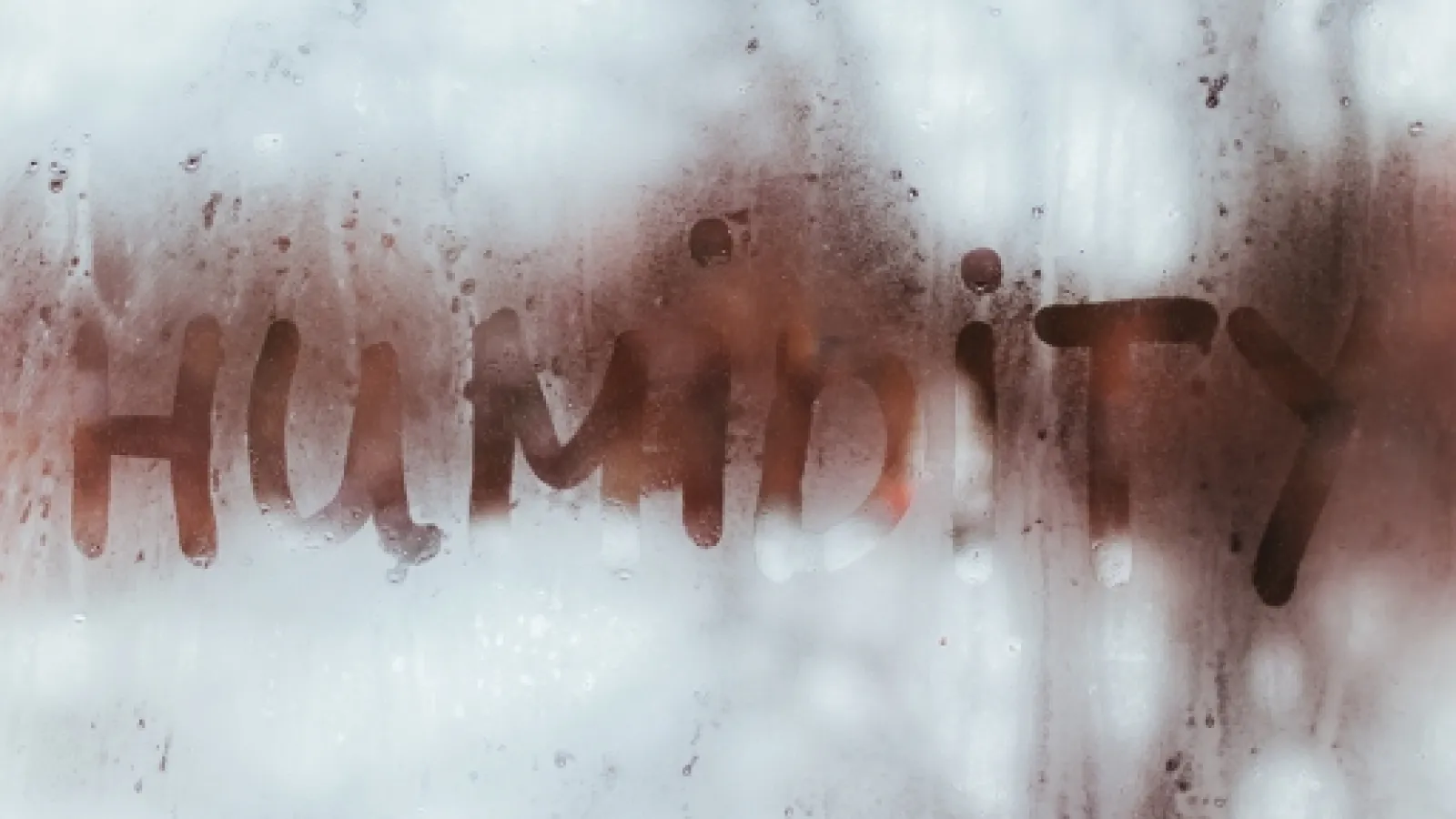 Benefits of Using a Humidifier in the Winter