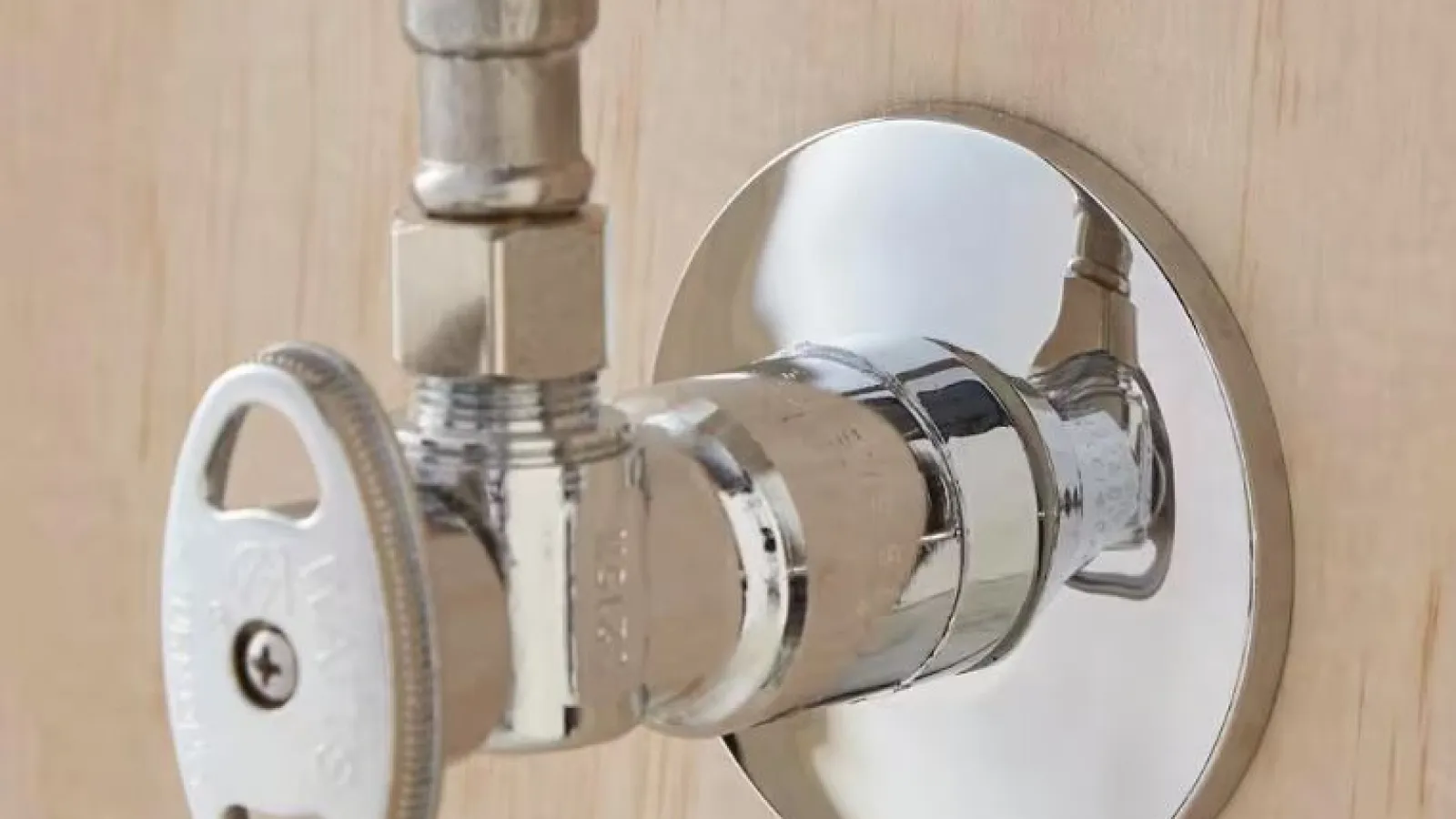 Close-up of a Escutcheon