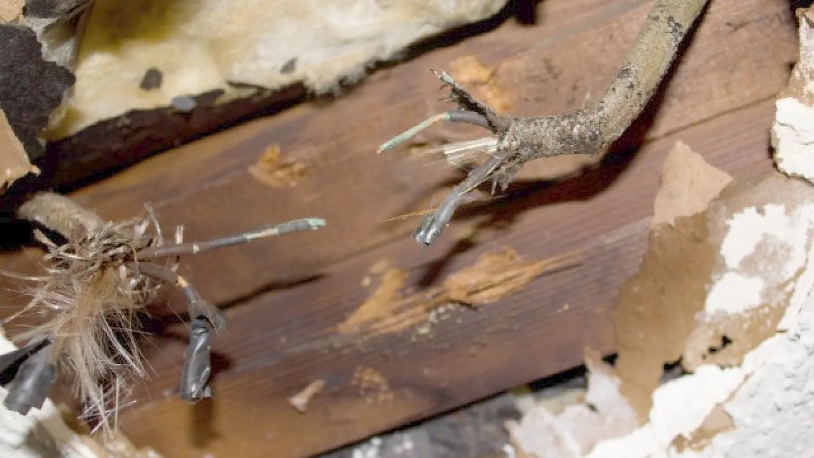 Very old wiring in a house