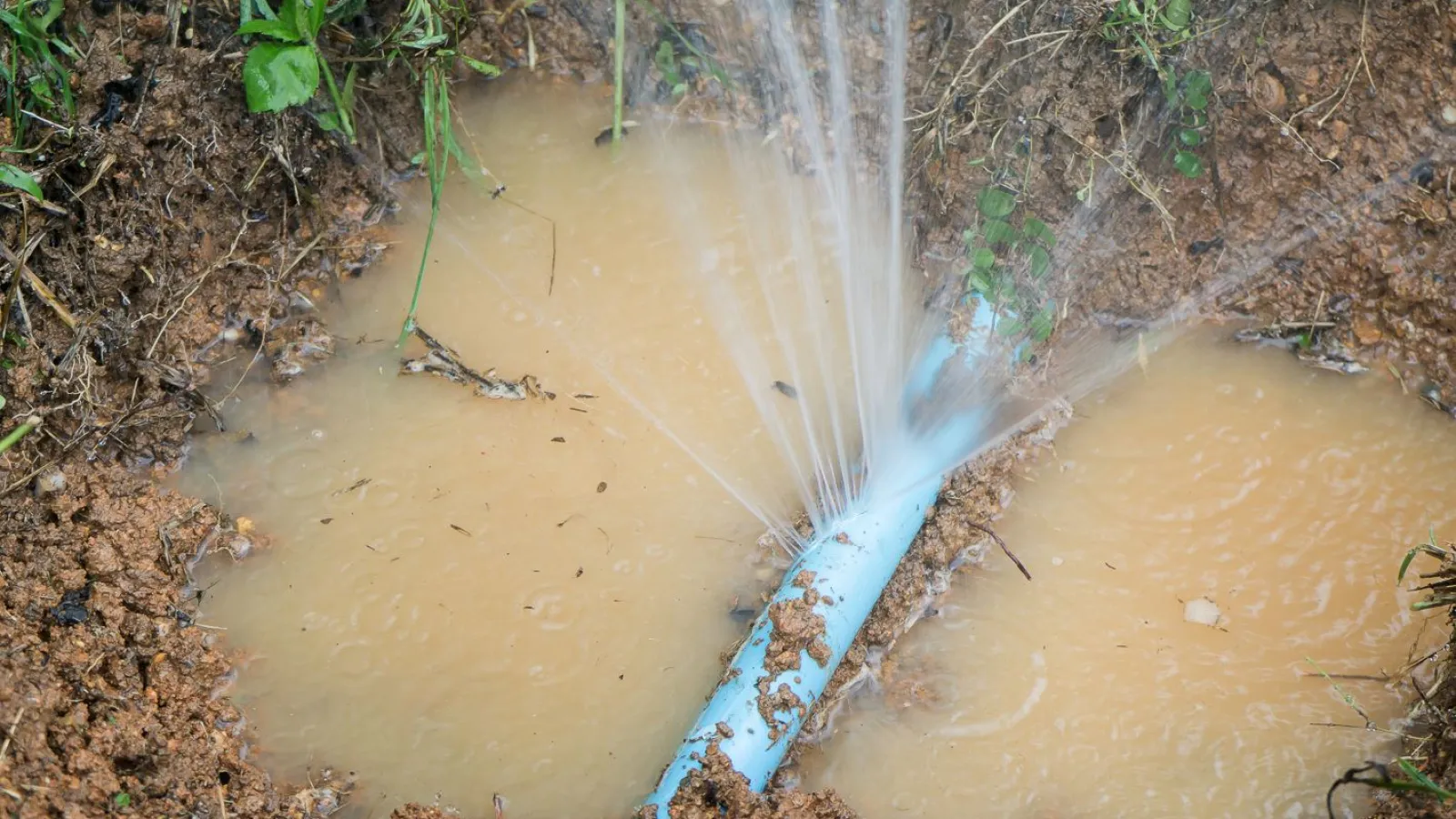 Water Leak in the yard