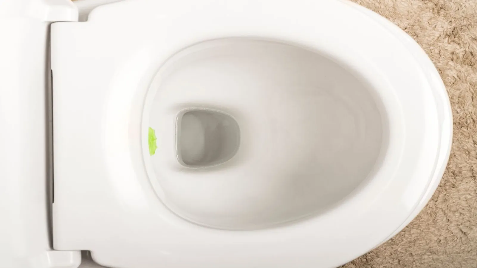 Top view of a clean white toilet bowl with the lid open on tiled floor and beige rug