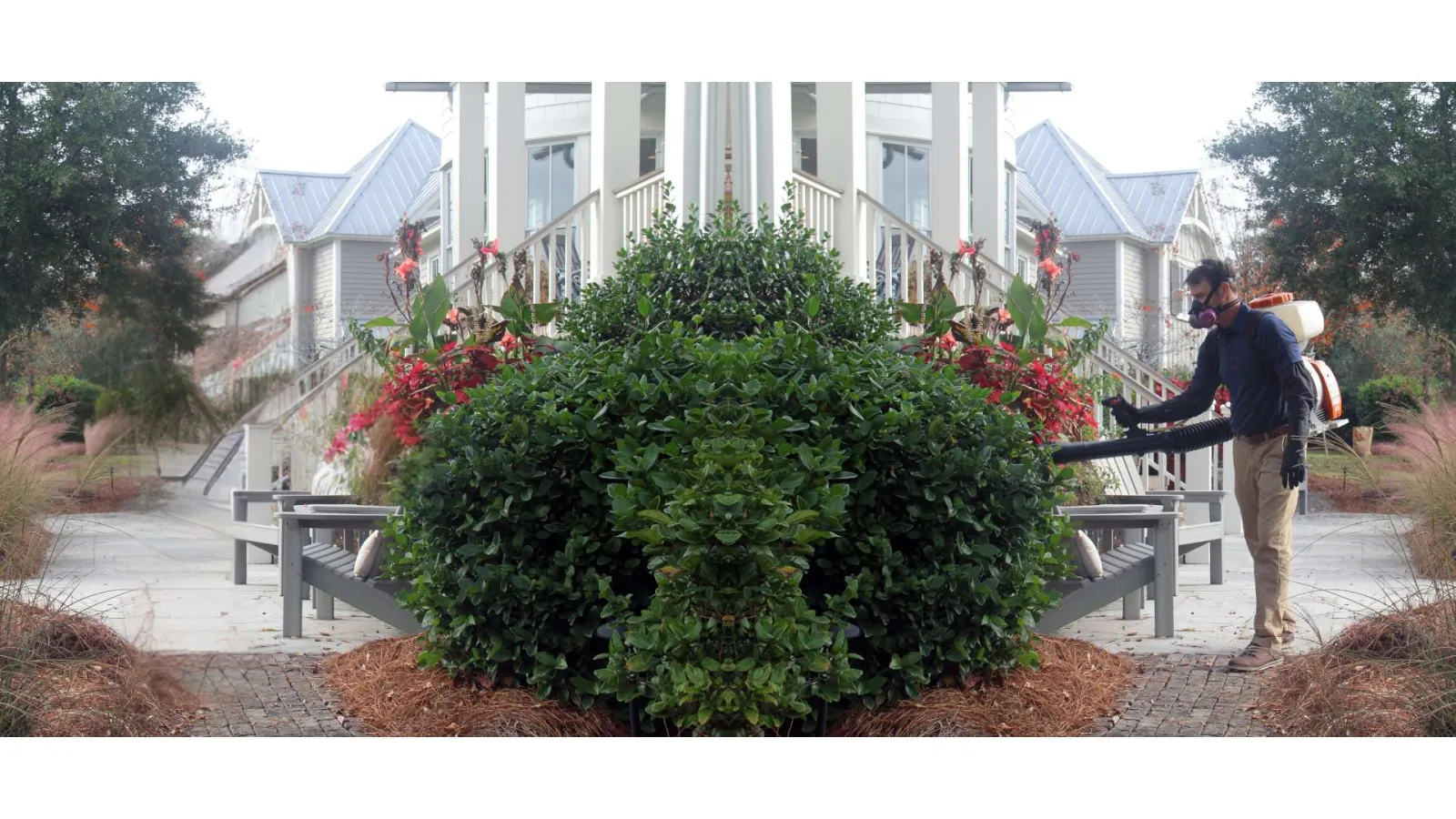 Man wearing mask using backpack leaf blower to clear leaves near house porch and garden beds