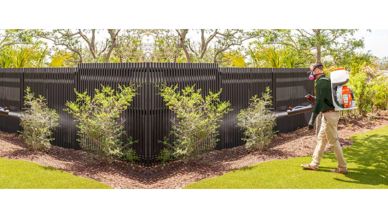 Man wearing mask sprays pesticide on garden shrubs near a modern black fence on a sunny day.