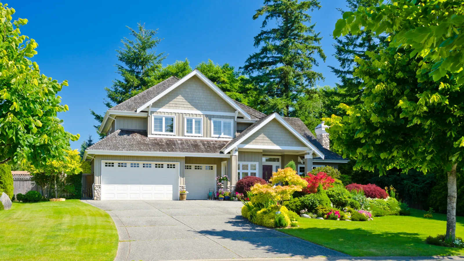 a house with a driveway and trees around it