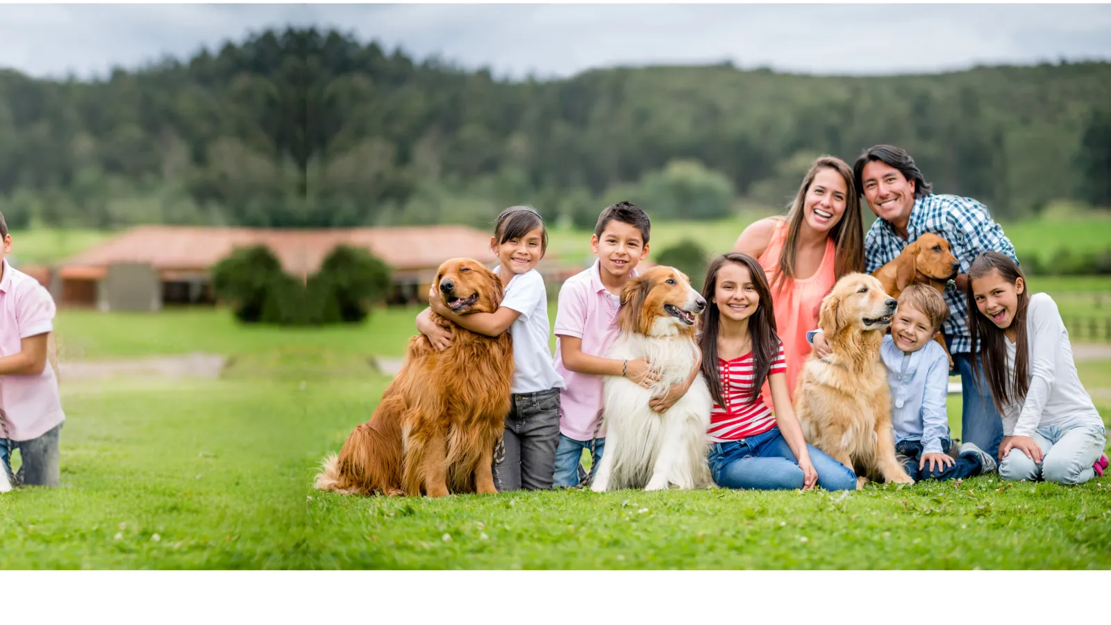 Local Pest Control | Mares Exterminating