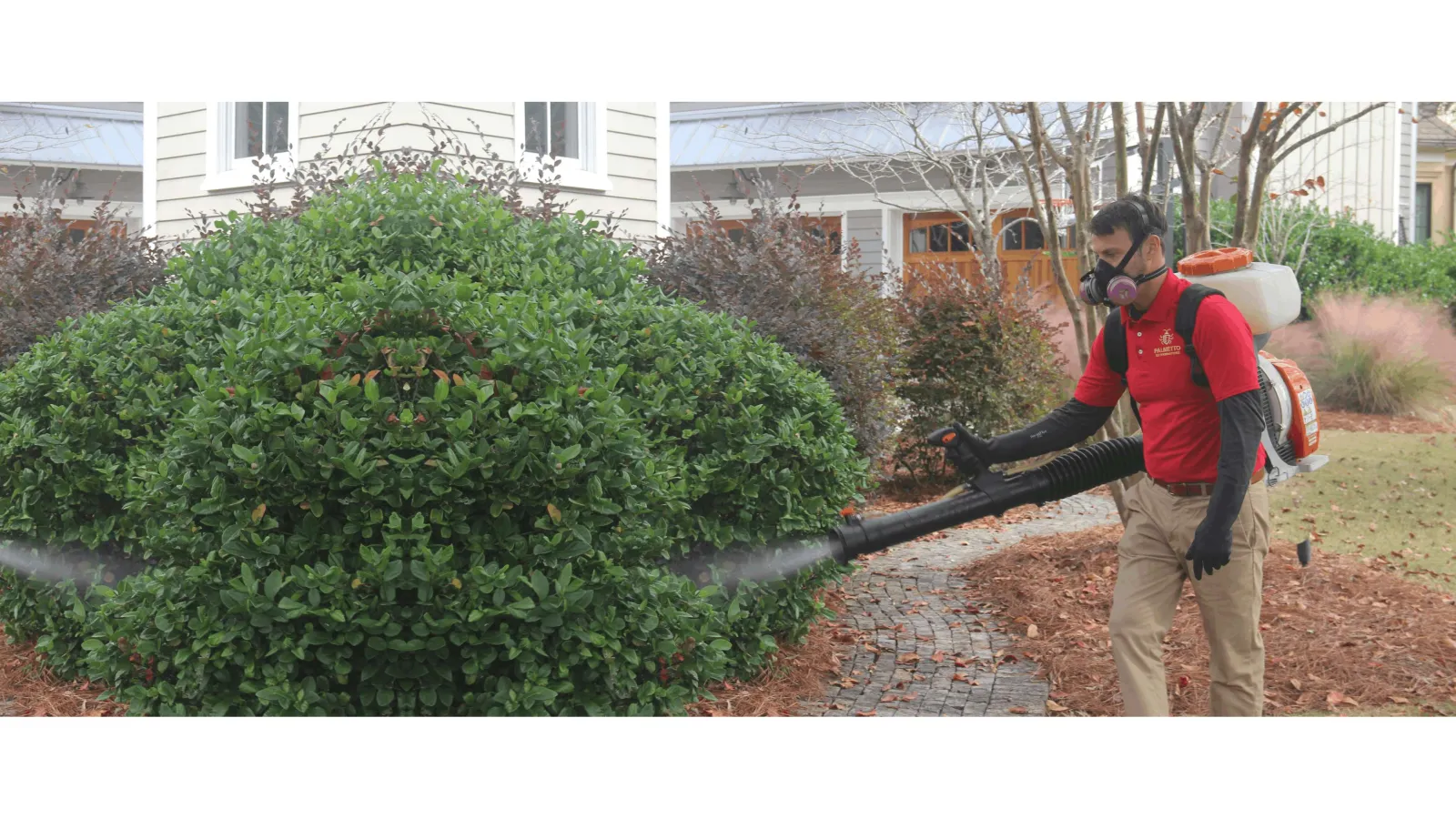 Man wearing mask using a backpack sprayer to treat bushes in a residential garden during daytime
