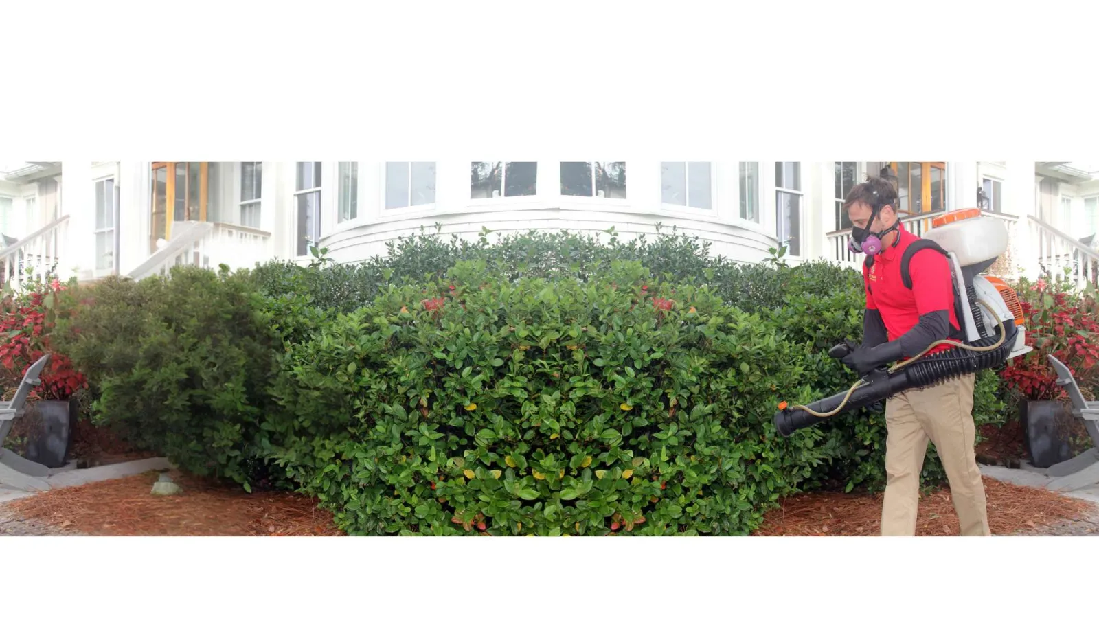 Man in red shirt wearing mask using leaf blower to clear bushes outside large white house.