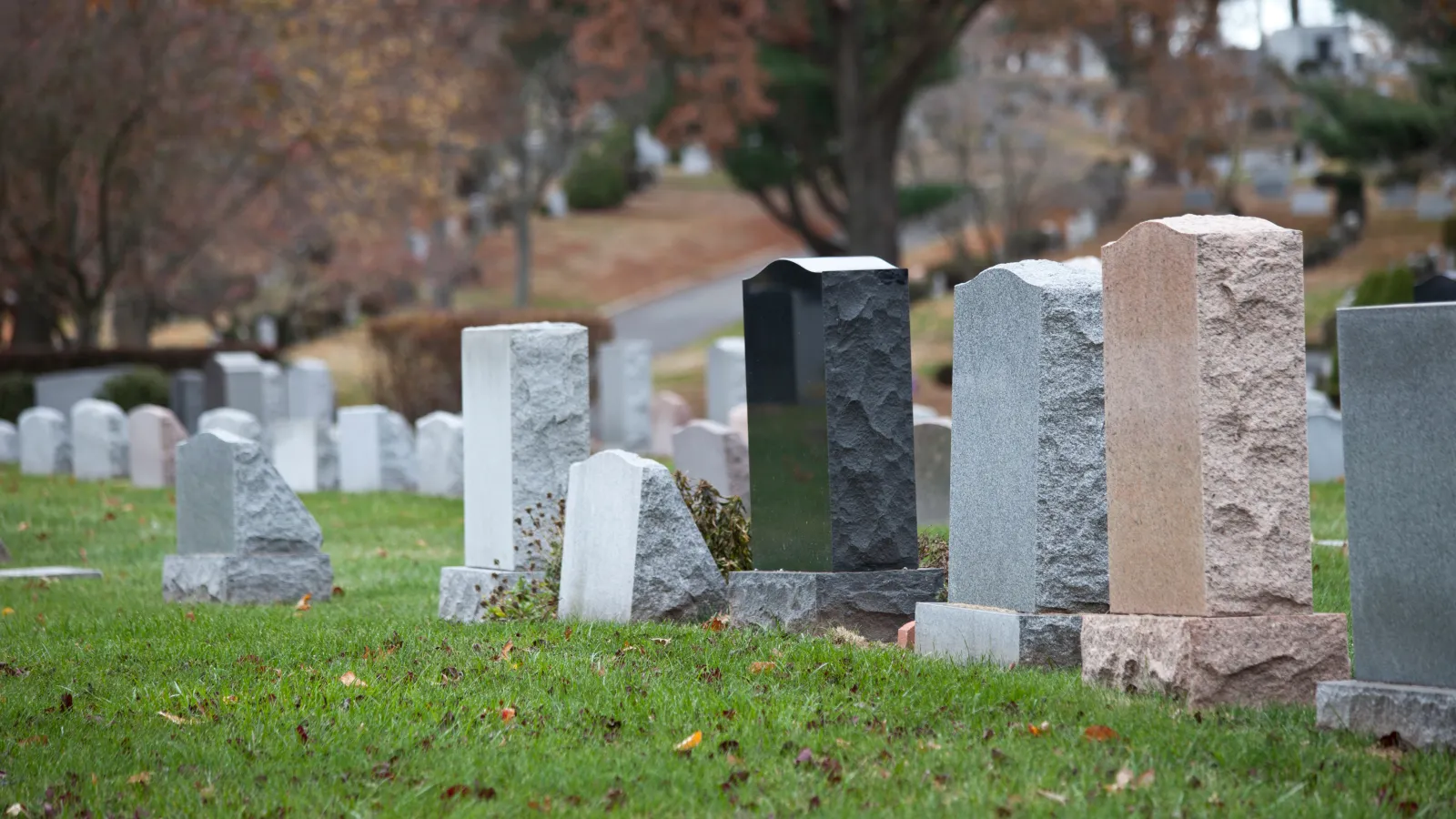 Row of variously colored gravestones in a cemetery with autumn trees in the background on a green grassy hill.