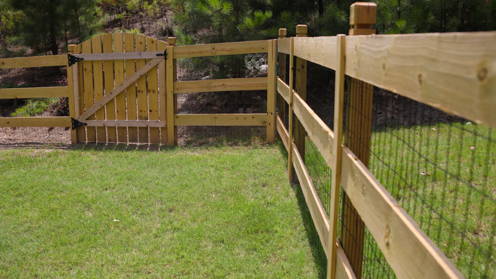Wooden fence with wire mesh panels enclosing a grassy yard and a gated entrance under sunlight.
