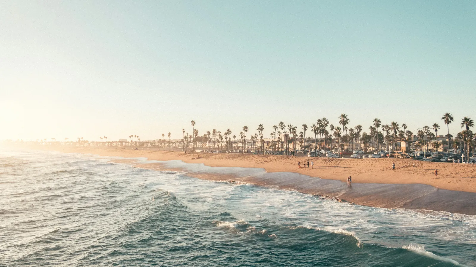 Sunny beach with palm trees lining the shore and gentle ocean waves under a clear blue sky.