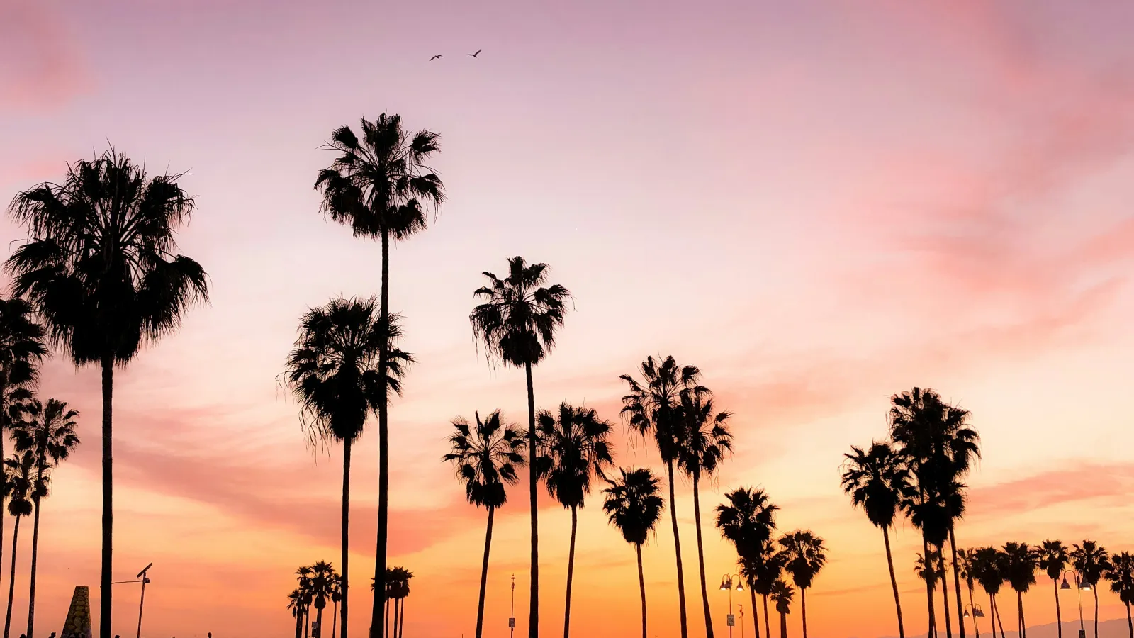 Tall palm trees silhouetted against a colorful pink and orange sunset sky at a beach park with people walking.