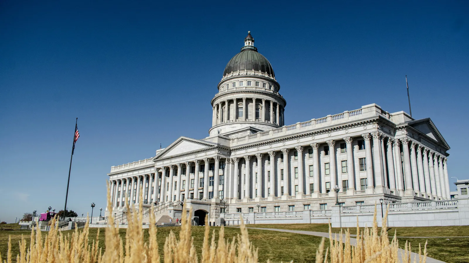 The Utah State Capitol building with its white columns, dome, and clear blue sky, framed by dry grasses in front.