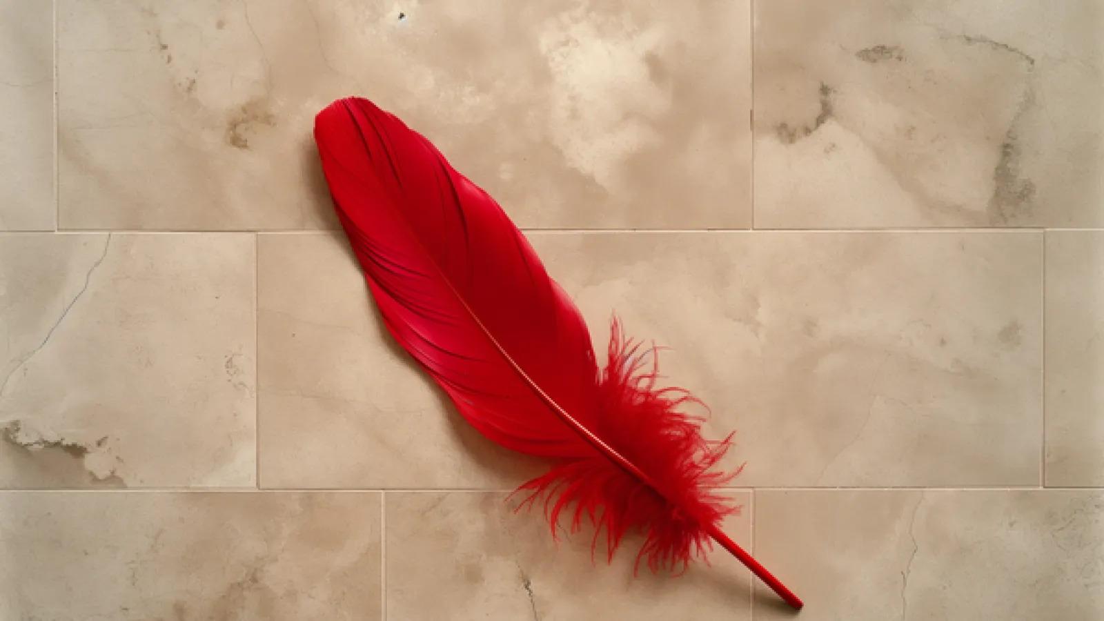 Bright red feather resting on a beige textured stone tile floor with natural cracks and patterns.