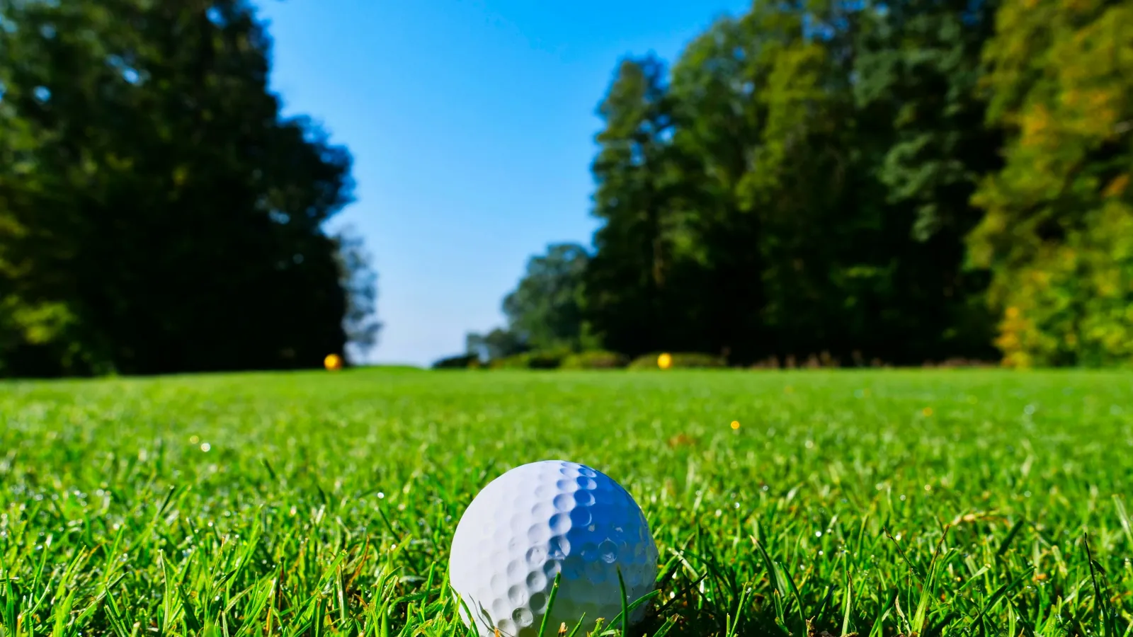 Close-up of a golf ball on green grass with trees and blue sky in the background on a sunny day