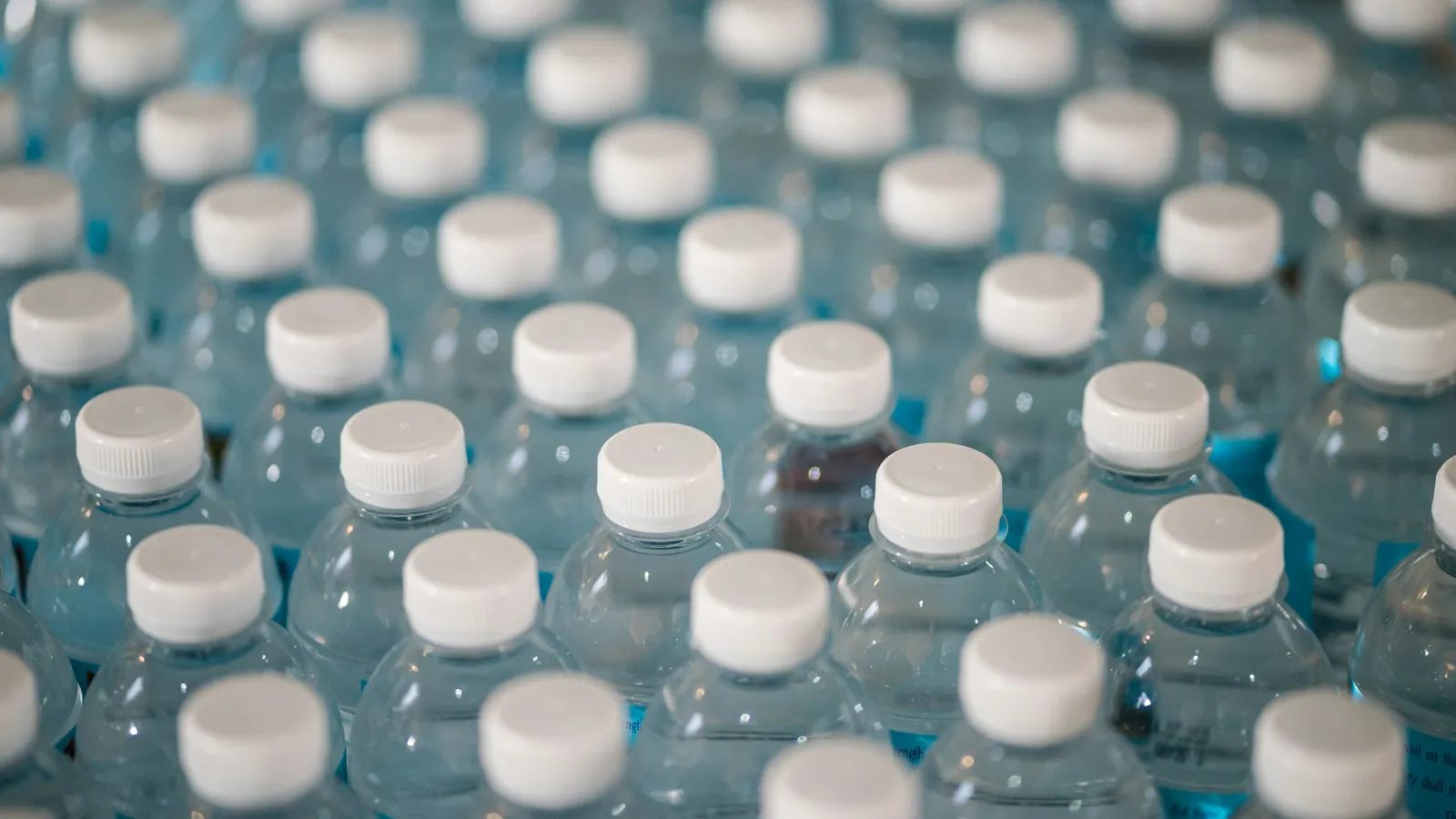 Rows of clear plastic water bottles with white caps arranged closely together on a surface.