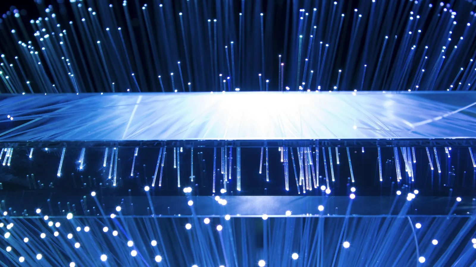Close-up of glowing blue fiber optic cables transmitting light in a technology and data concept.