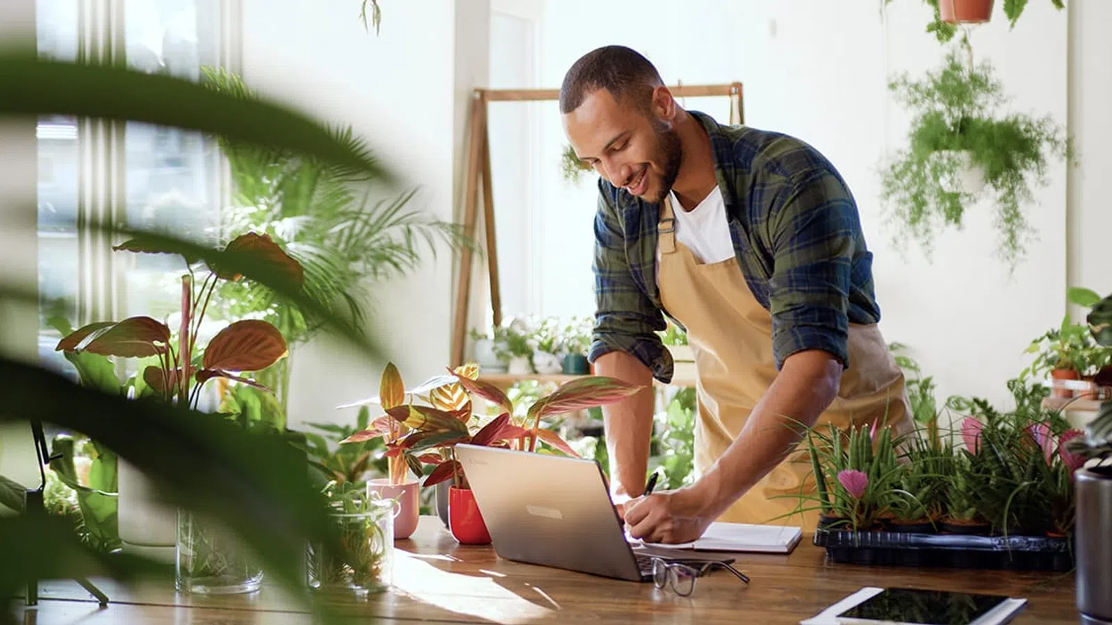 Man in apron working on laptop surrounded by indoor plants in bright, airy room with natural light.