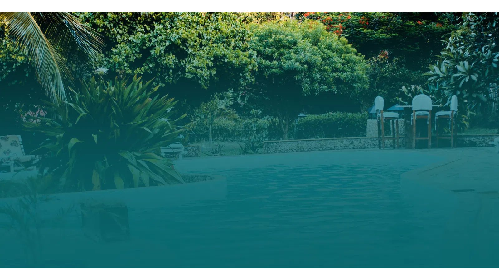 a pool with trees around it