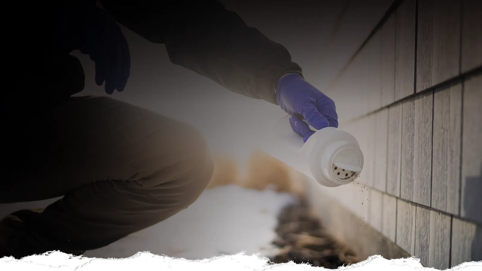 Person wearing gloves applying pesticide or powder along house foundation on a cold day