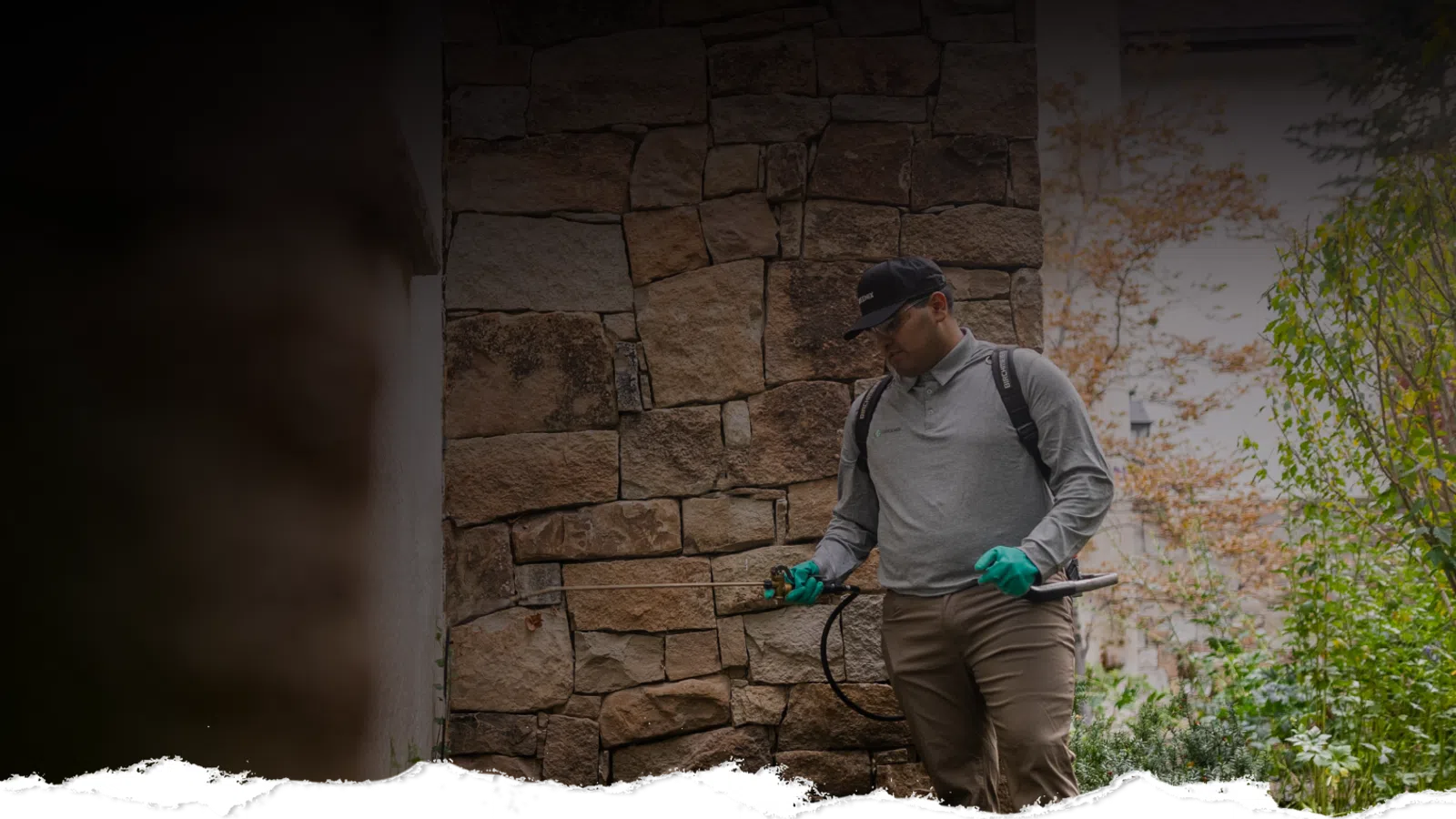 Pest control worker wearing gloves and backpack sprayer treating outdoor area near stone wall and plants.
